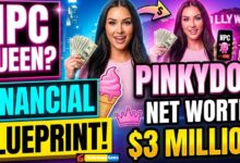 PinkyDoll Net Worth 2026 The Financial Blueprint of the NPC Queen