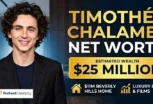 TIMOTHÉE CHALAMET NET WORTH